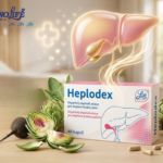 Žlučník a játra – ilustrace Techno Life k produktu Heplodex